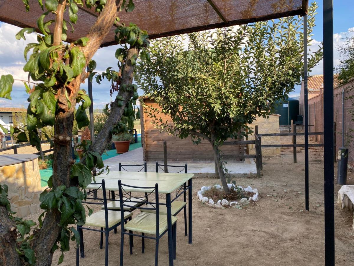 Alojamiento Rural Setenil Setenil De Las Bodegas Εξωτερικό φωτογραφία