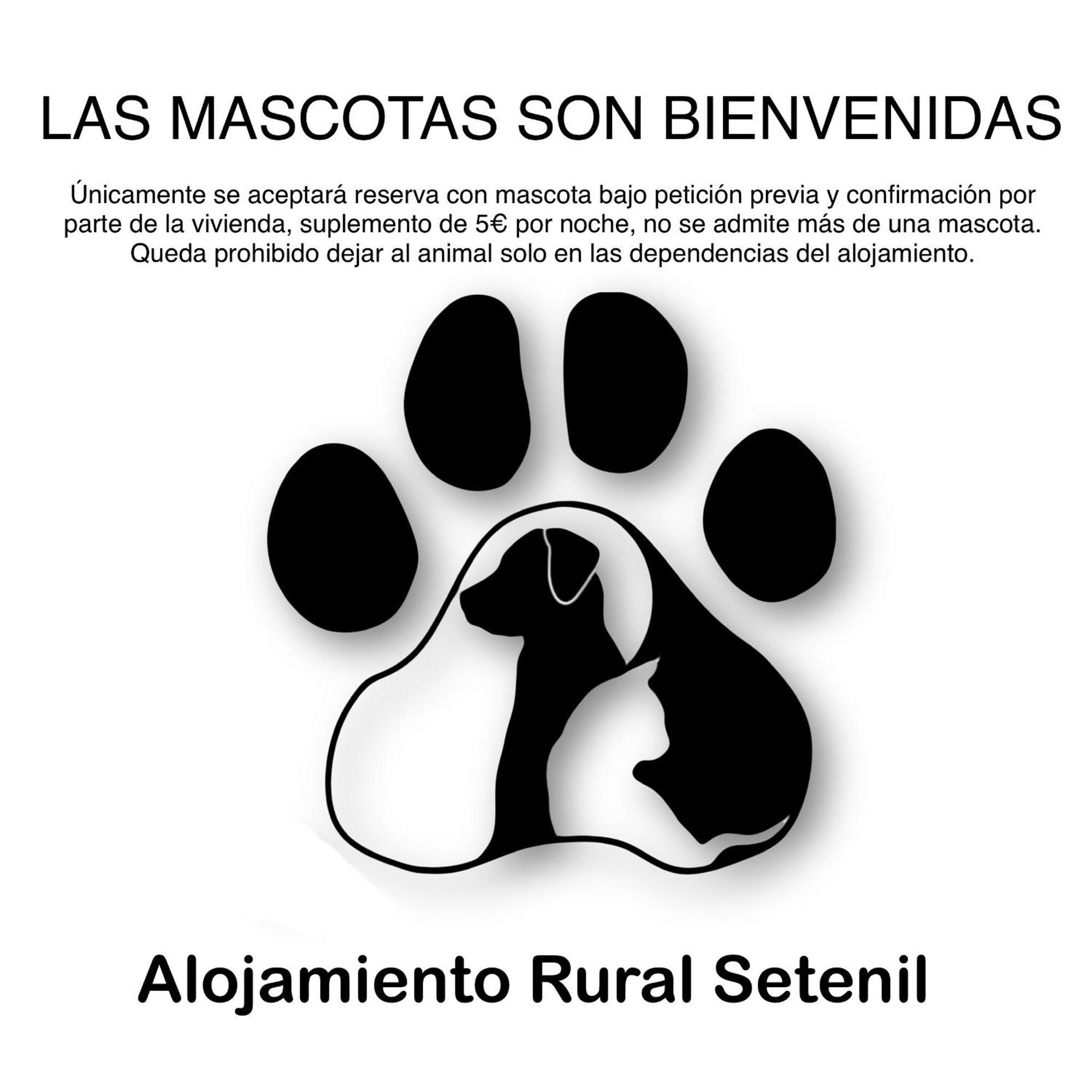 Alojamiento Rural Setenil Setenil De Las Bodegas Εξωτερικό φωτογραφία